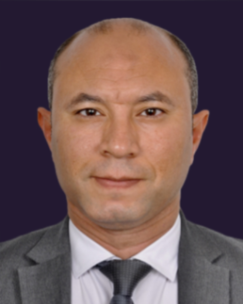 Sayed Zineldin